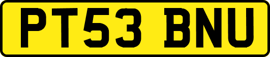 PT53BNU
