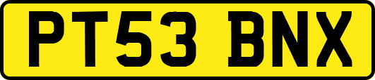 PT53BNX