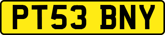 PT53BNY
