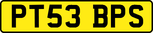 PT53BPS