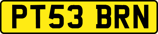 PT53BRN
