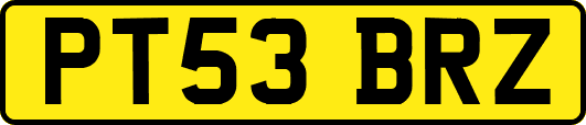 PT53BRZ