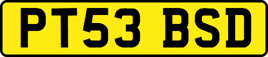 PT53BSD