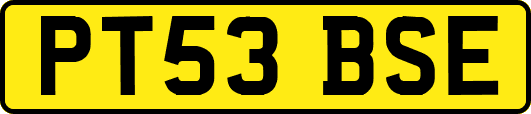 PT53BSE