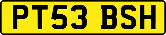 PT53BSH