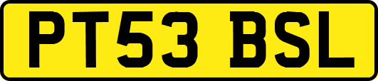 PT53BSL