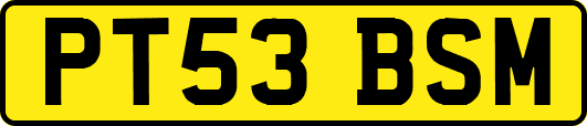 PT53BSM