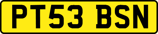 PT53BSN