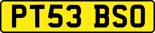 PT53BSO