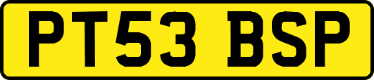 PT53BSP