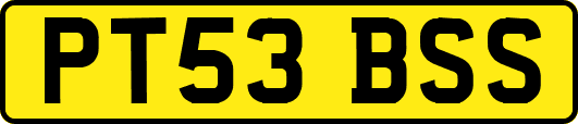 PT53BSS