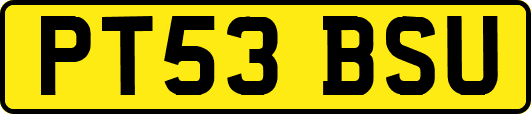 PT53BSU