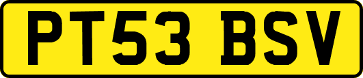 PT53BSV