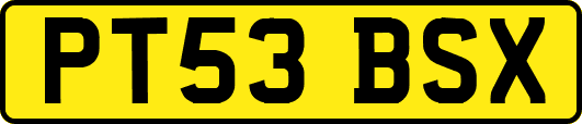 PT53BSX