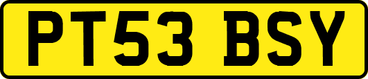 PT53BSY