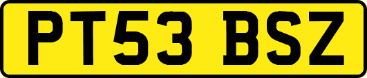 PT53BSZ