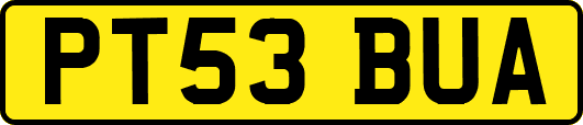 PT53BUA