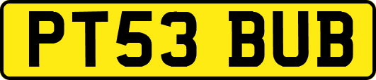 PT53BUB