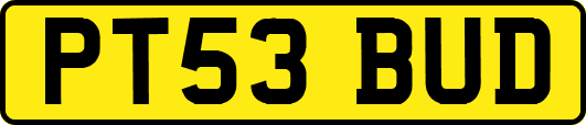 PT53BUD