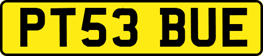 PT53BUE
