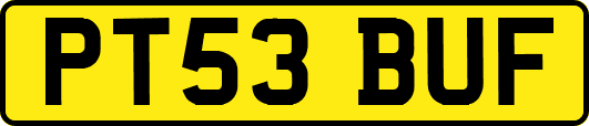 PT53BUF