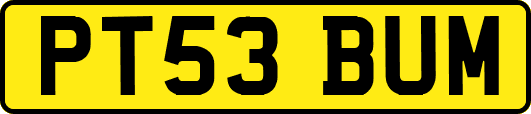 PT53BUM
