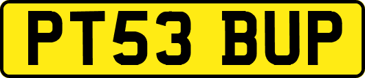 PT53BUP