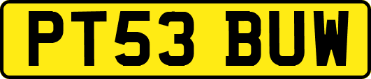PT53BUW