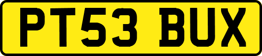 PT53BUX