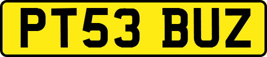 PT53BUZ