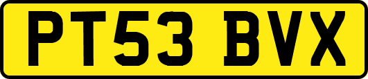 PT53BVX