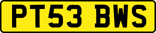 PT53BWS