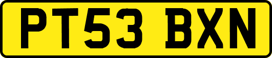 PT53BXN