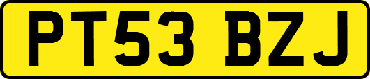 PT53BZJ
