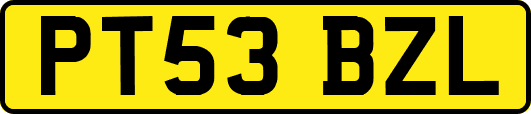PT53BZL