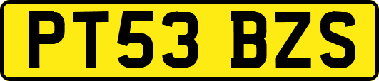 PT53BZS