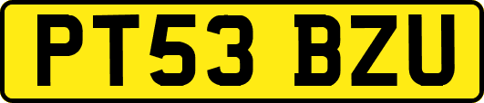 PT53BZU
