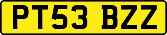 PT53BZZ