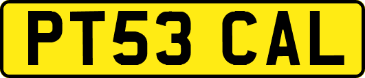 PT53CAL
