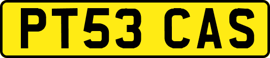 PT53CAS