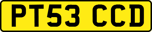 PT53CCD