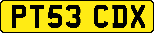PT53CDX