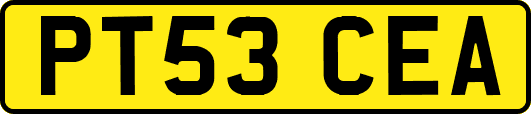 PT53CEA