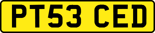 PT53CED