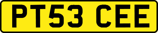 PT53CEE