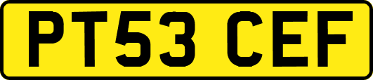 PT53CEF