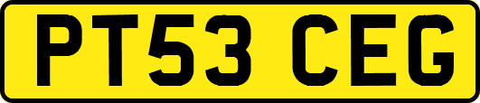 PT53CEG