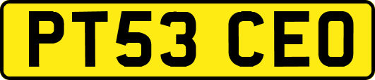 PT53CEO