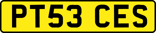 PT53CES