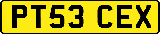 PT53CEX